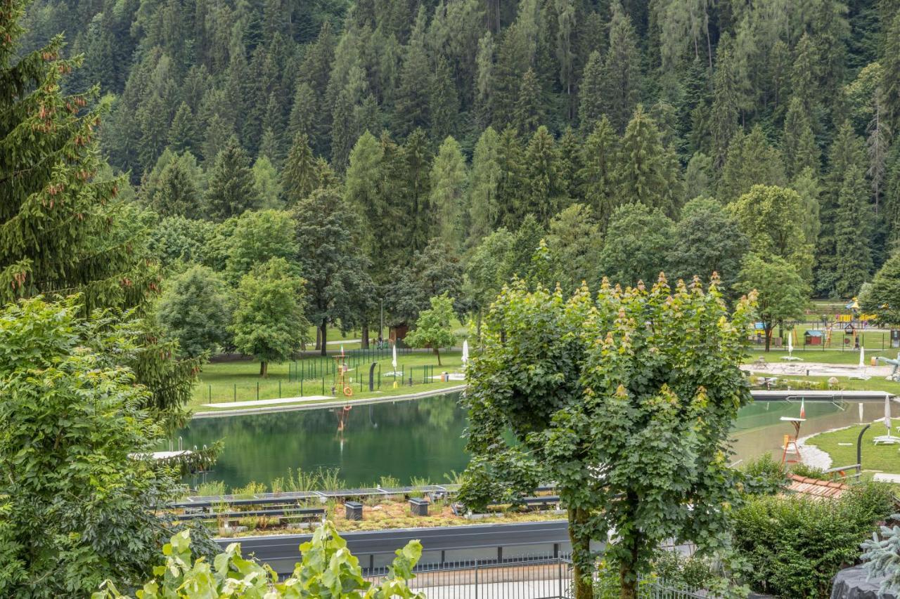 Chalet Mountain Plaza - Apt Greenvalley Pinzolo Bagian luar foto